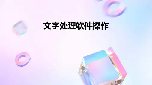 文字处理软件操作