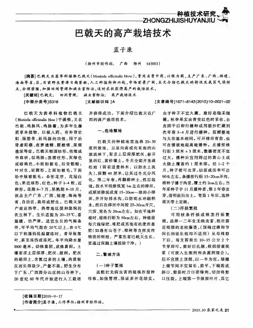 巴戟天的高产栽培技术