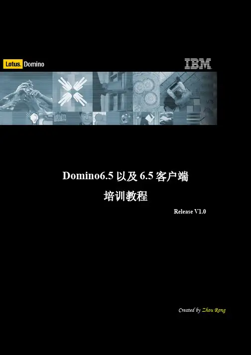 Lotus Domino 教程