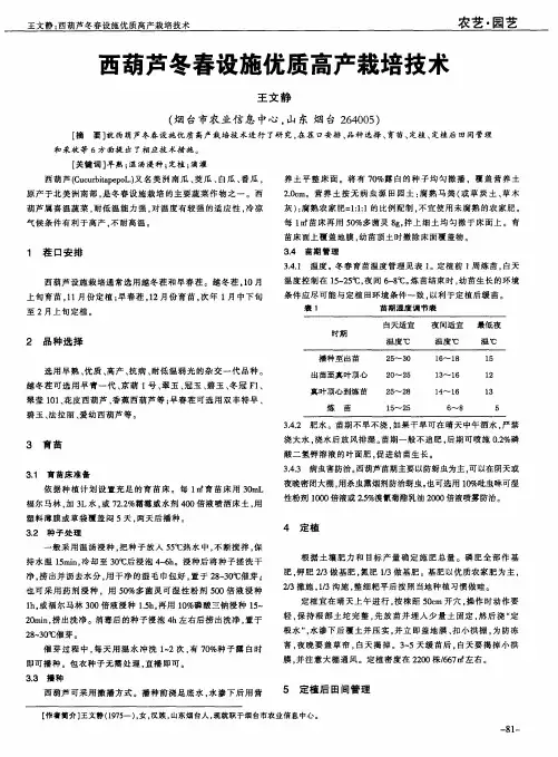西葫芦冬春设施优质高产栽培技术