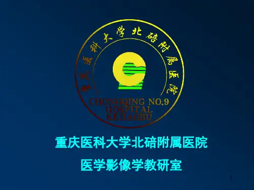 心脏超声诊断PPT课件
