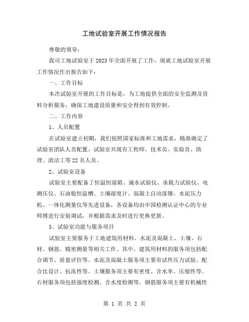 工地试验室开展工作情况报告