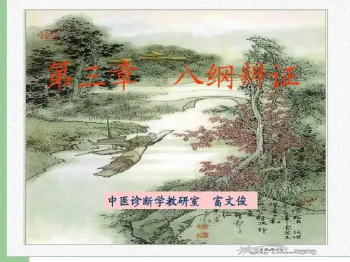 八纲辨证
