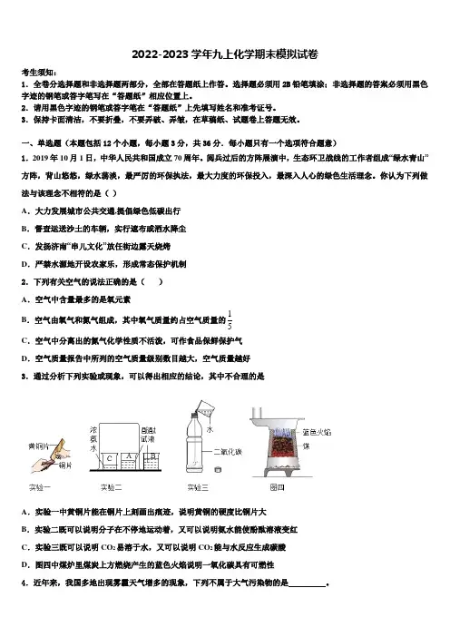 2022-2023学年广东省深圳市龙岗区大鹏新区华侨中学九年级化学第一学期期末考试试题含解析