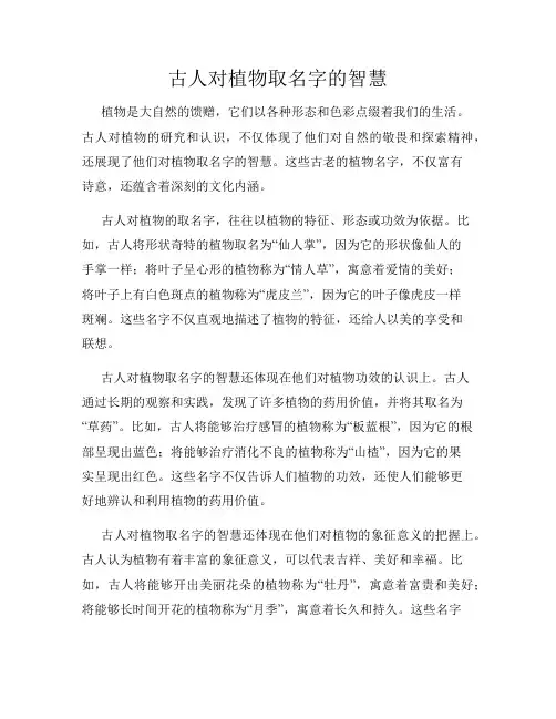 古人对植物取名字的智慧