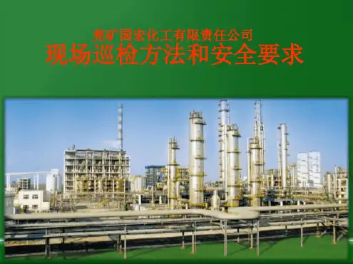 现场巡检完整版本最新PPT课件