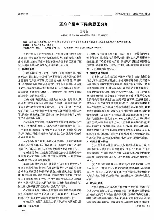 蛋鸡产蛋率下降的原因分析