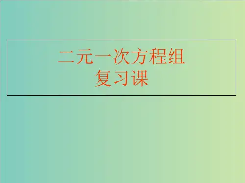 人教版中考专题复习《二元一次方程组》课件(共11张PPT)