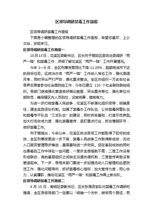 区领导调研禁毒工作简报