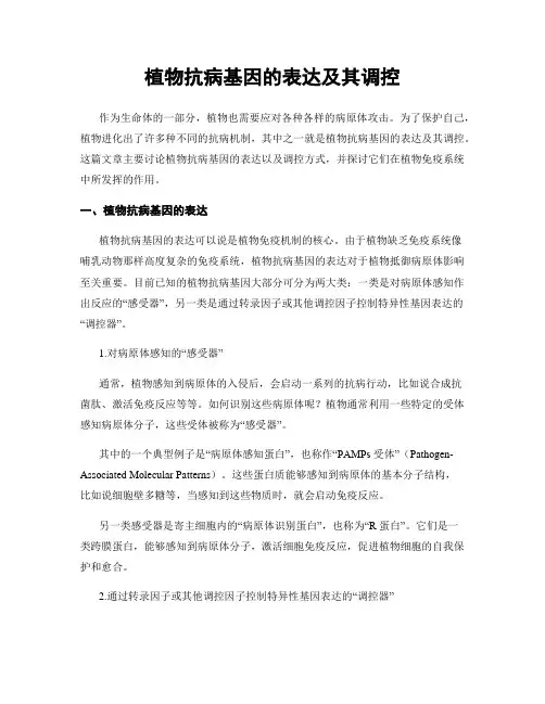 植物抗病基因的表达及其调控