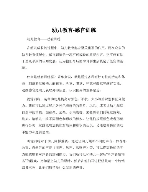 幼儿教育-感官训练