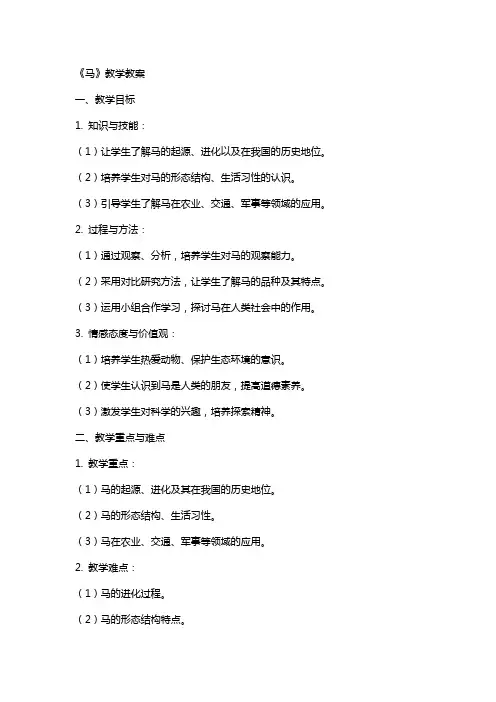 课程《马》教学教案