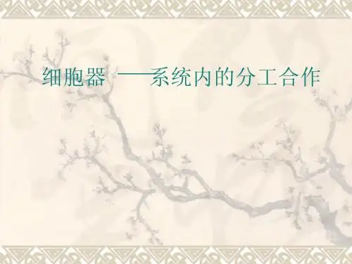 细胞器(2)