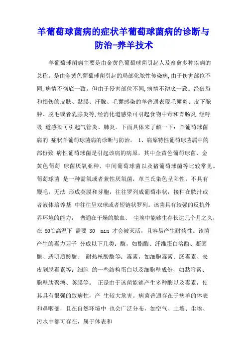 羊葡萄球菌病的症状 羊葡萄球菌病的诊断与防治 - 养羊技术
