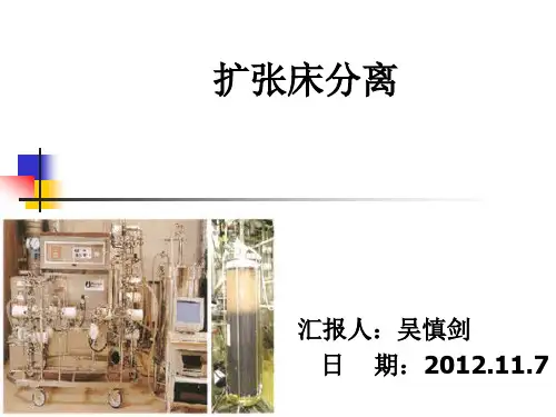 扩张床分离 吴慎剑