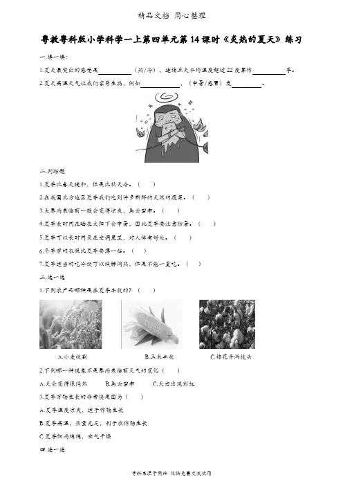 (新教材)粤教粤科版一年级上册科学 第14课 炎热的夏天 课时练(同步练习)