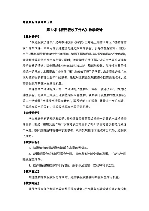 根还吸收了什么教案及反思