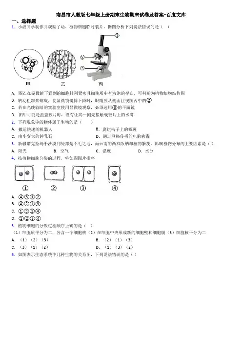 南昌市人教版七年级上册期末生物期末试卷及答案-百度文库