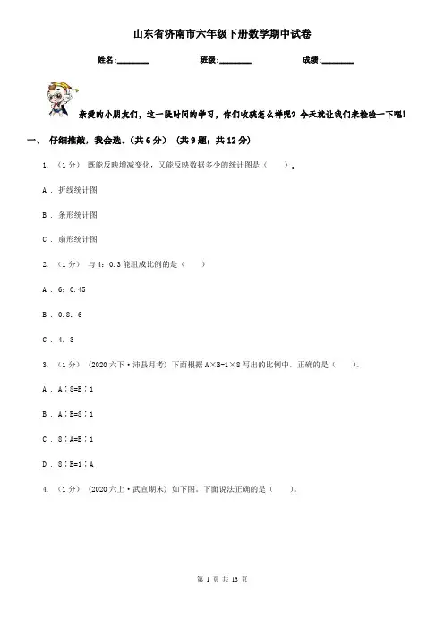 山东省济南市六年级下册数学期中试卷