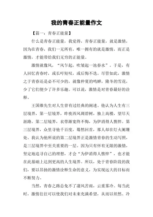我的青春正能量作文_1