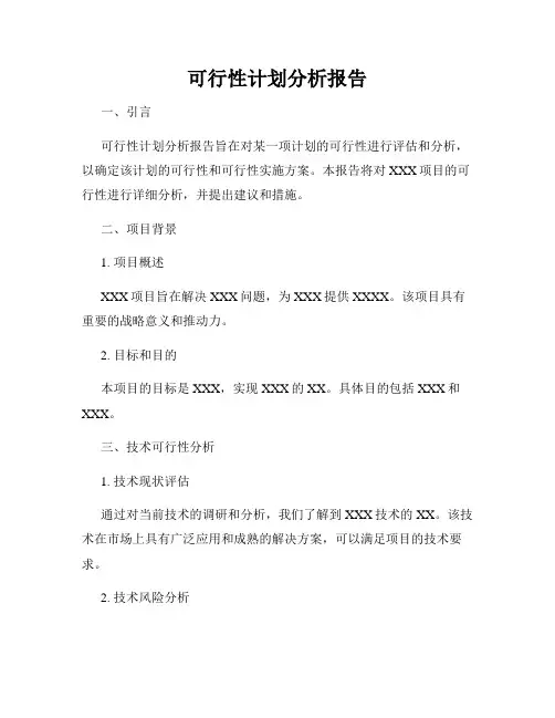 可行性计划分析报告