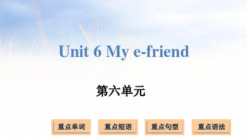 译林版(三起)五年级上册英语Unit 6 My e-friend (共14张PPT)