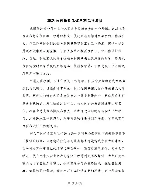 2023公司新员工试用期工作总结(二篇)