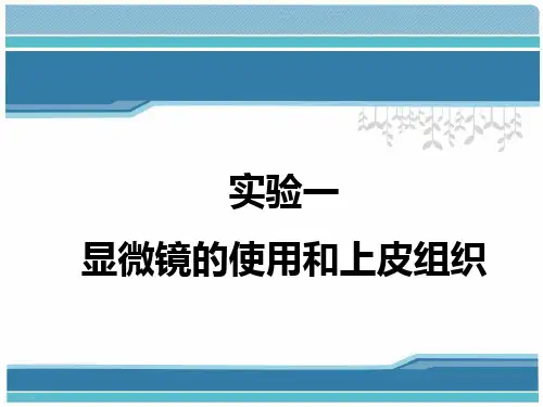 动物组织学与胚胎学实验