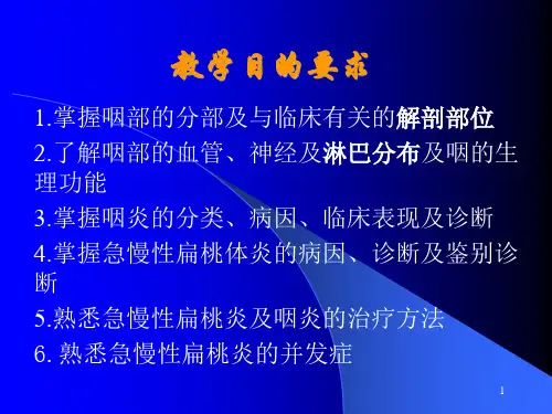 咽部解剖及生理医学PPT课件