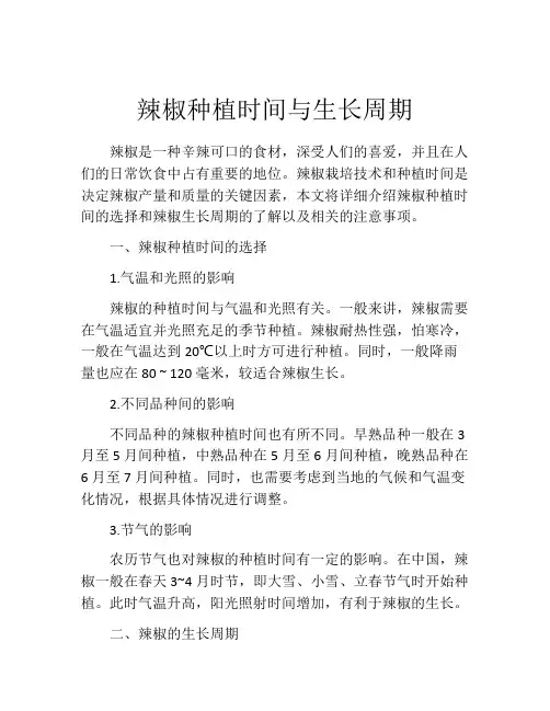 辣椒种植时间与生长周期