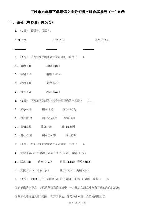 三沙市六年级下学期语文小升初语文综合模拟卷(一)B卷