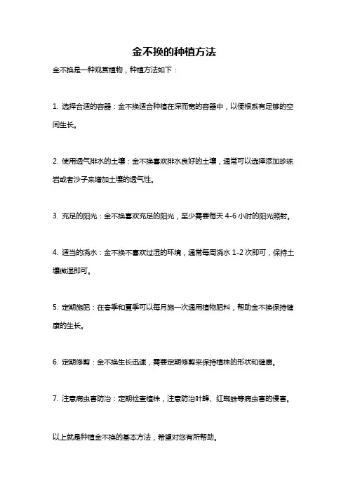 金不换的种植方法