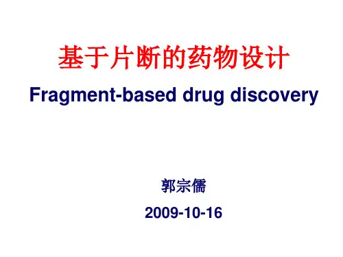 基于片断的药物设计