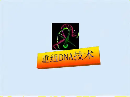 重组DNA技术详细概述(ppt 41页)(共40张PPT)