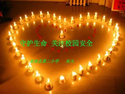 守护生命,关注校园安全说课课件(1)1