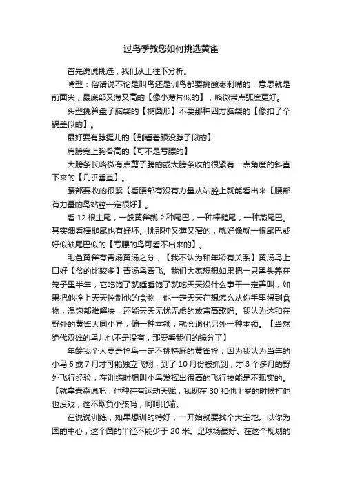 过鸟季教您如何挑选黄雀