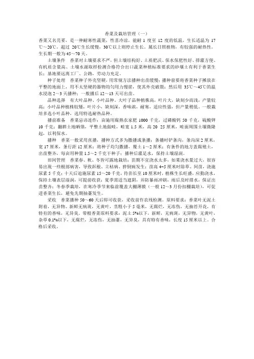 香菜栽培技术