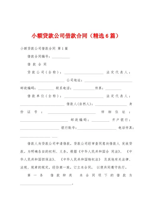 小额贷款公司借款合同(精选6篇)