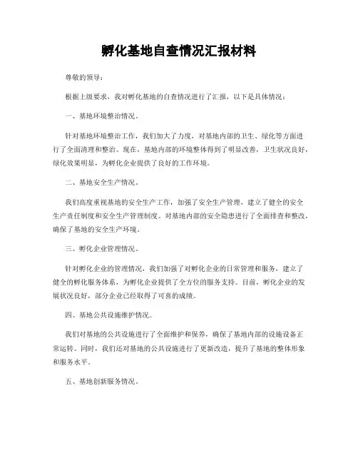 孵化基地自查情况汇报材料