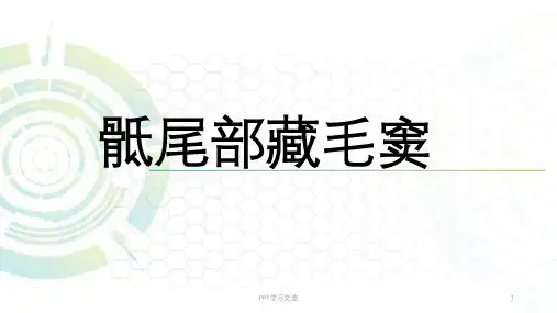 骶尾部藏毛窦课件