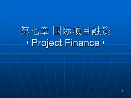 第十章国际项目融资PPT课件
