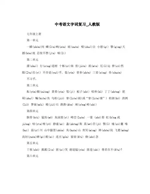 中考语文字词复习_人教版