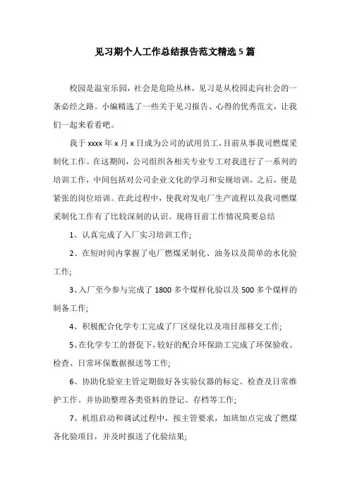 见习期个人工作总结报告范文精选5篇