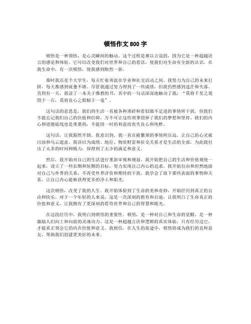 顿悟作文800字