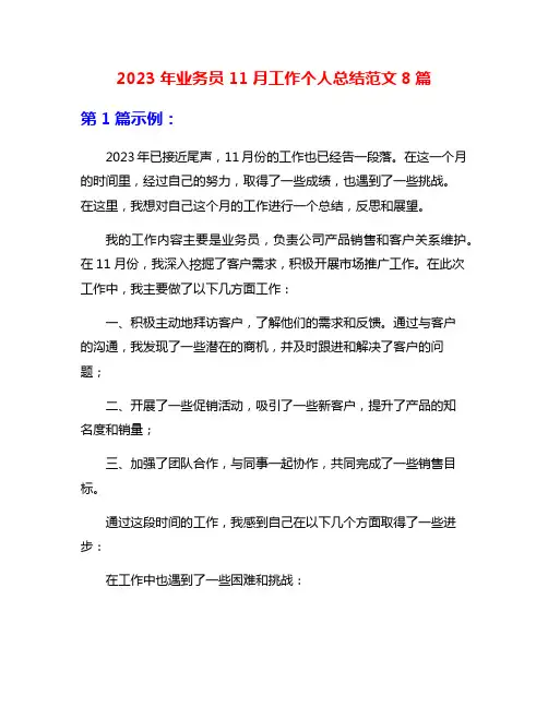 2023年业务员11月工作个人总结范文8篇