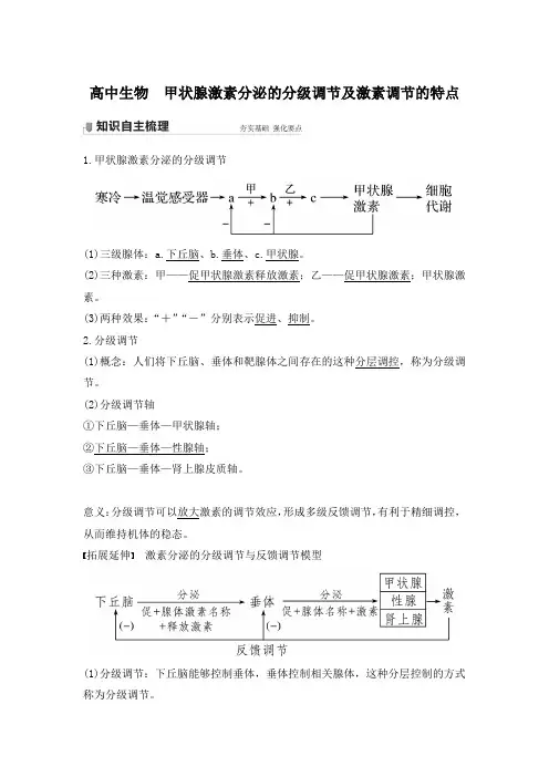 高中生物-甲状腺激素分泌的分级调节及激素调节的特点