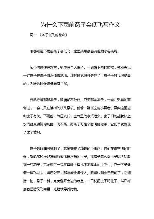 为什么下雨前燕子会低飞写作文