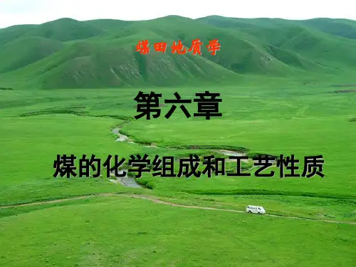 煤的化学组成和工艺性质