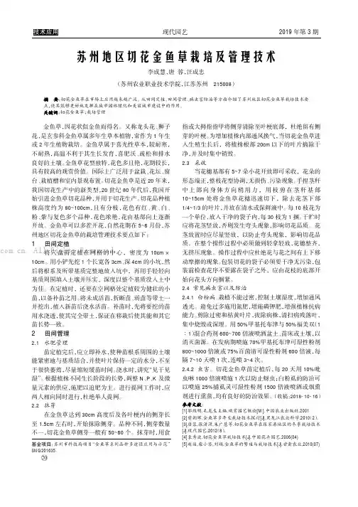 苏州地区切花金鱼草栽培及管理技术