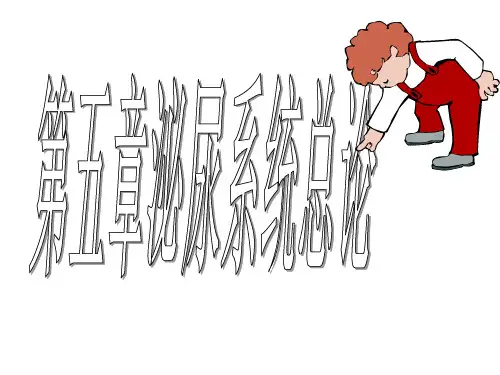 蛋白尿PPT课件